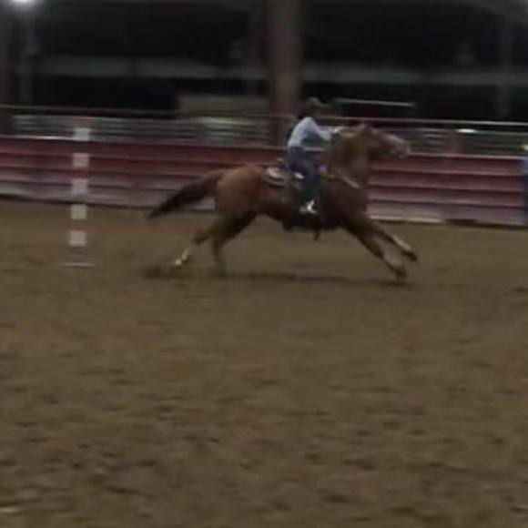 Meet your Posher, Jj - Picture 1 of 1